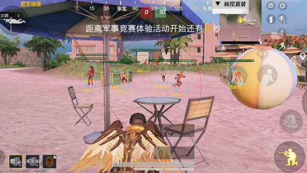 和平精英【雪儿内核】辅助